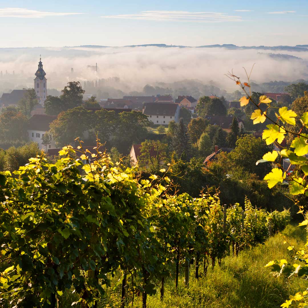 Herbstlandschaft Stadtansicht